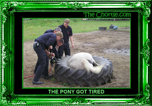 The pony got tired