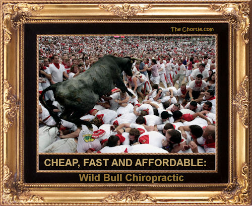 Cheap, fast and affordable: Wild bull chiropractic