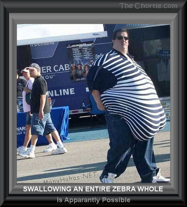 Swallowing an entire zebra is apparantly possible