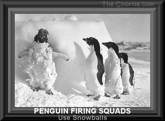 Penguin firing squads use snowballs.