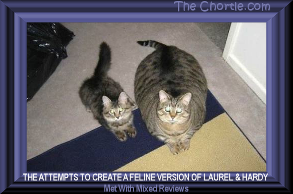 The attempts to create a feline version of Laurel and Hardy met with mixed reviews.