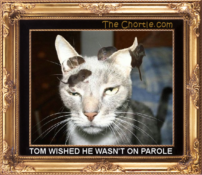 Tom wished he wasn't on parole.