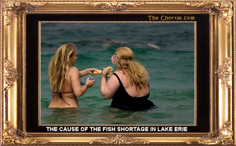 The cause of the fish shortage in Lake Erie.