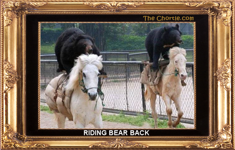 Riding bear back
