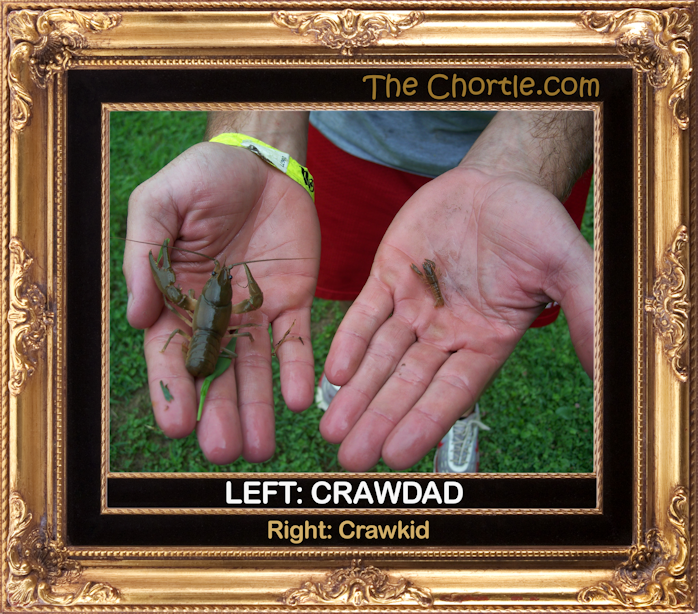 Left: Crawdad.  Right: Crawkid.