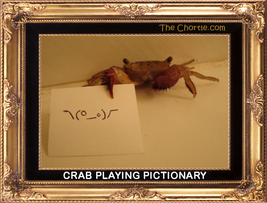 Crab playing Pictionary