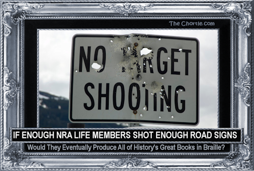If enough NRA life members shot enough road signs, would they eventually produce all of history's great books in Braille?