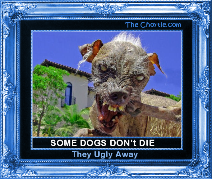 Some dogs don't die, they ugly away