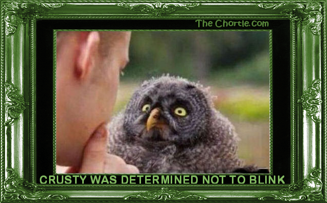 Crusty was determined not to blink