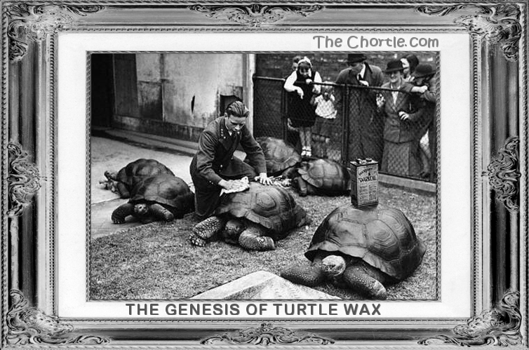 The Genesis of Turtle Wax