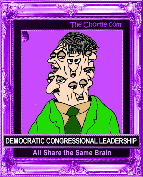 Democratic congressional leadership all share the same brain