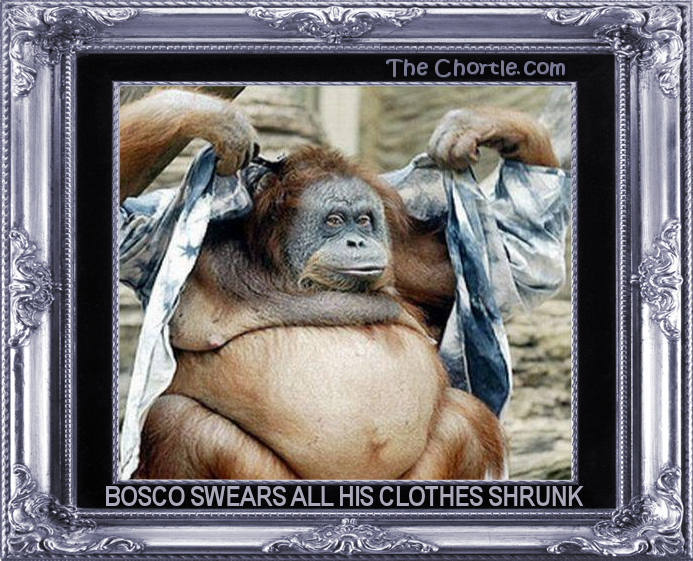 Bosco swears all his clothes shrunk