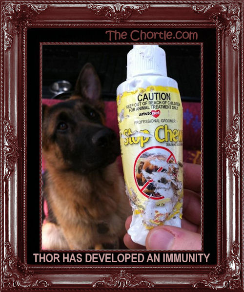 Thor has developed an immunity