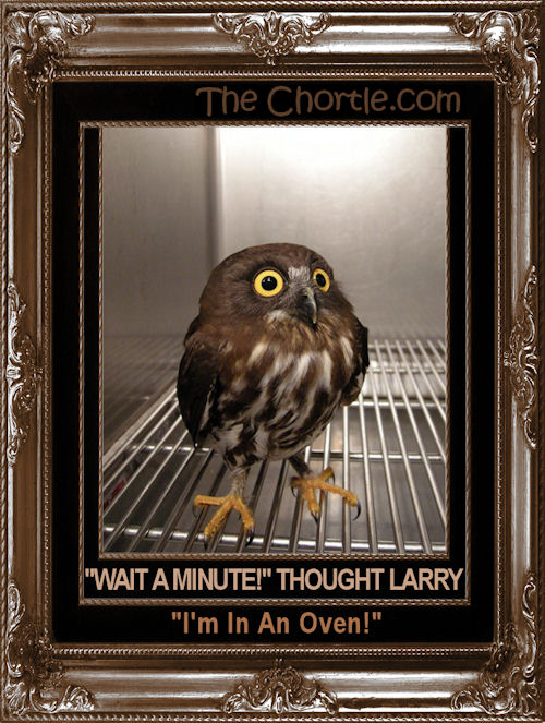 "Wait a minute!" thought Larry. "I'm in an oven!"