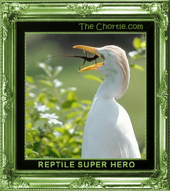 Reptile super hero
