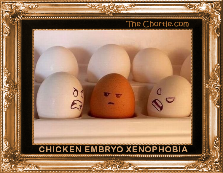Chicken embryo xenophobia