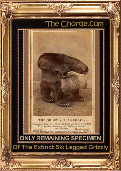 Only remaining specimen of the extinct six legged grizzly