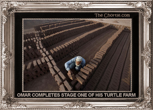 Omar completes stage one of his turtle farm