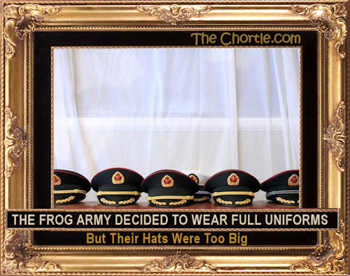 The frog army decided to wear full uniforms but their hats were too big