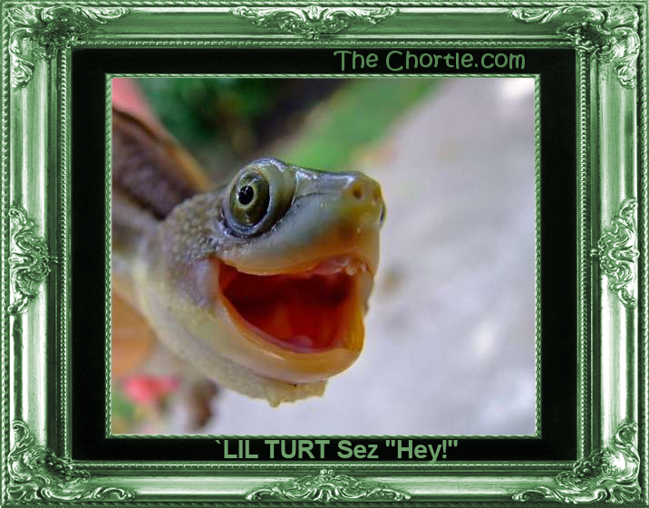 'Lil Turt sex "Hey!"