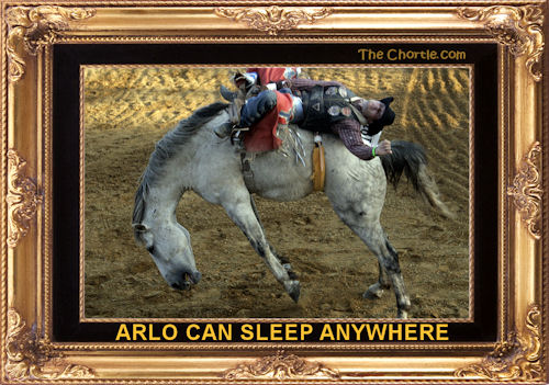 Arlo can sleep anywhere