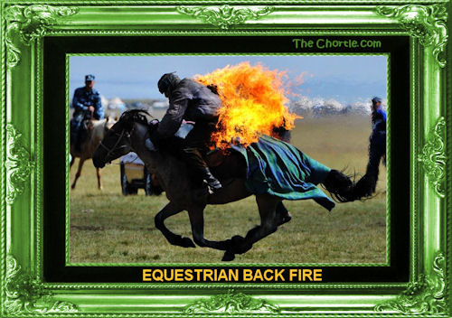 Equestrian back fire