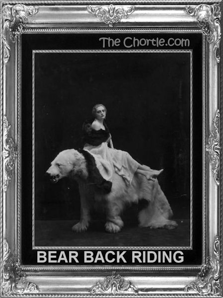 Bear back riding