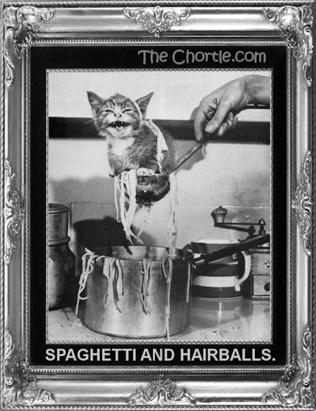 Spaghetti and hairballs