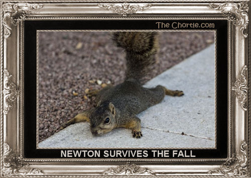 Newton survives the fall.