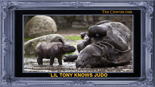 `Lil Tony knows Judo