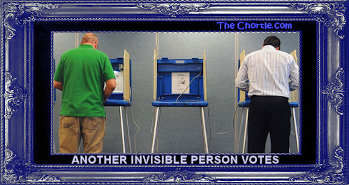 Another invisible voter
