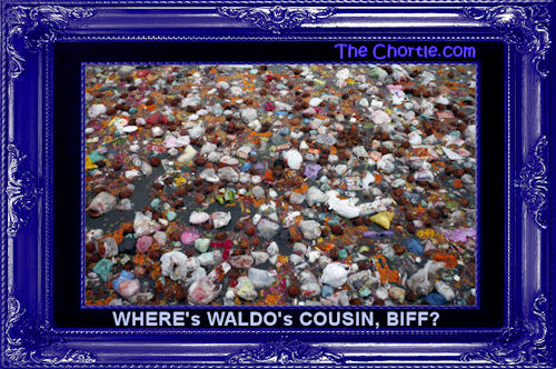 Where's Waldo's cousin, Biff?