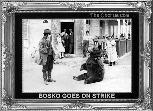 Bosko goes on strike