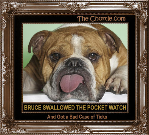 Bruce swallowed the pocket watch and got a bad case of ticks