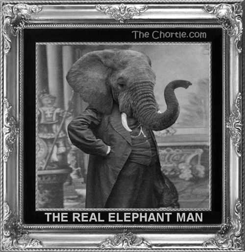 The real Elephant Man