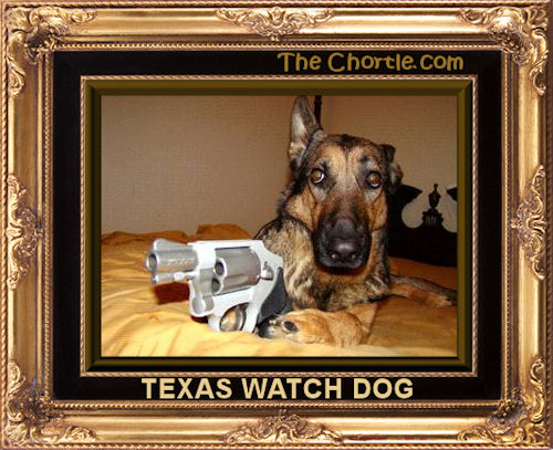 Texas watch dog