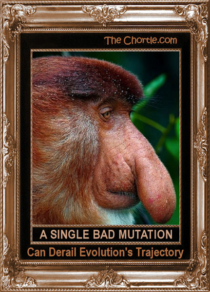 A single bad mutation can derail evolution's trajectory