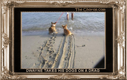 Dwayne takes his dogs on a drag