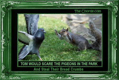 Tom would scare the pigeons in the park and steal their bread crumbs