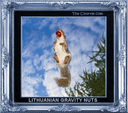 Lithuanian gravity nuts