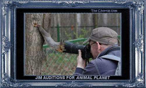 Jim auditions for Animal Planet