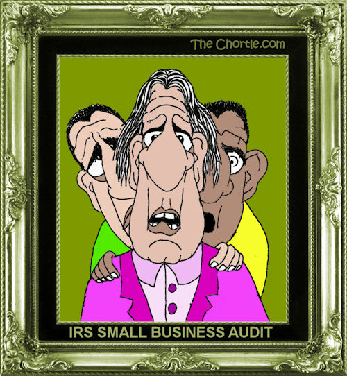 IRS small business audit