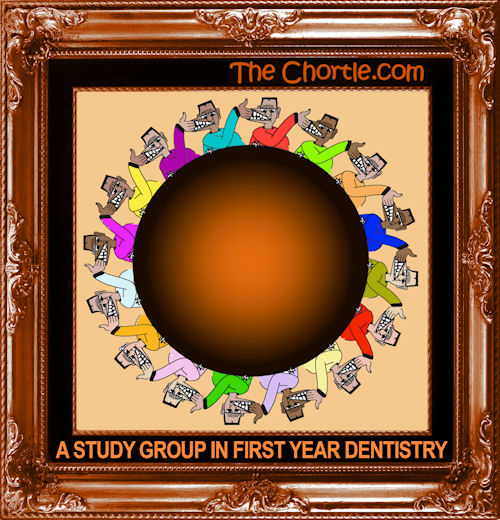 A study group in first year dentistry