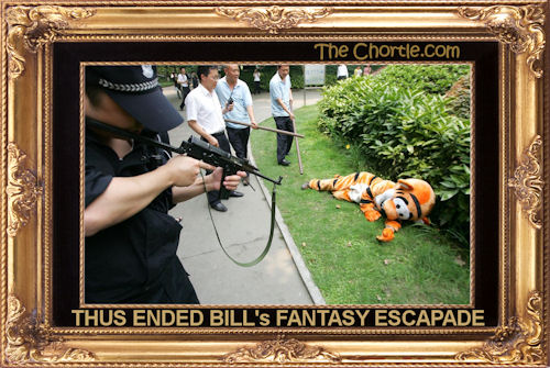 Thus ended Bill's fantasy escapade