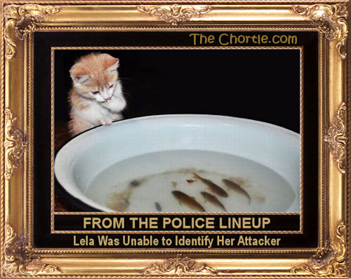 From the police lineup, Lela was unable to identify her attacker