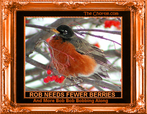 Rob needs fewer berries. And more bob bob bobbing along.