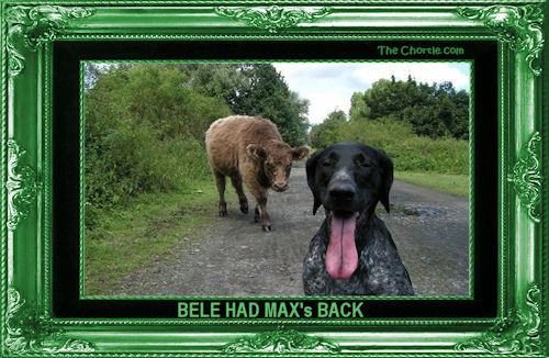 Bele had Max's back