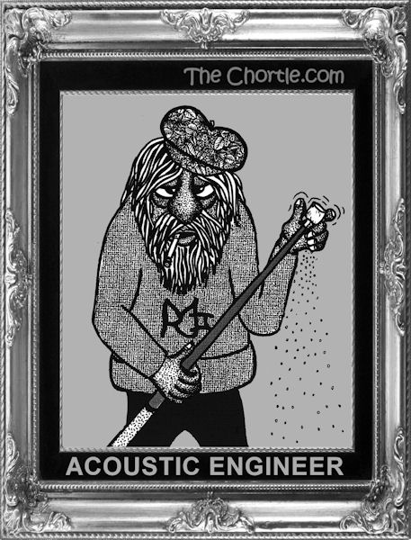 Acoustic engineer