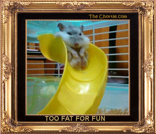 Too fat for fun.