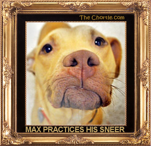 Max practices his sneer
